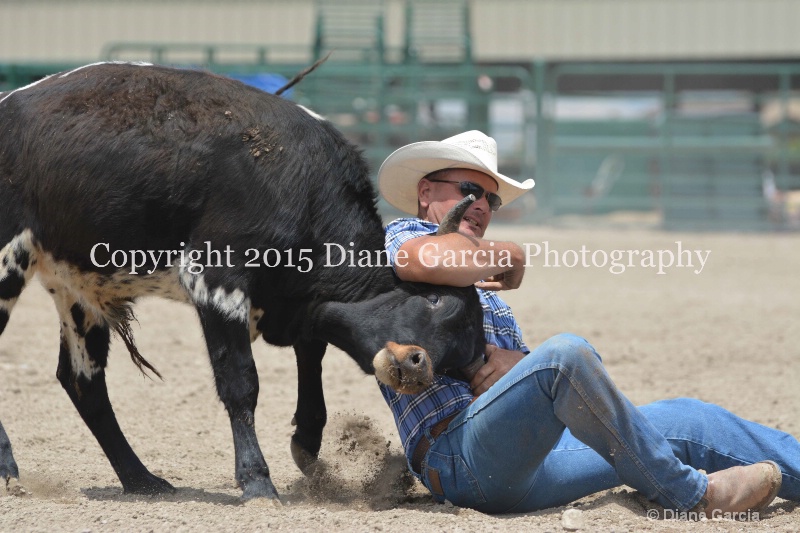 ujra parent rodeo 2015  13  - ID: 14942910 © Diane Garcia