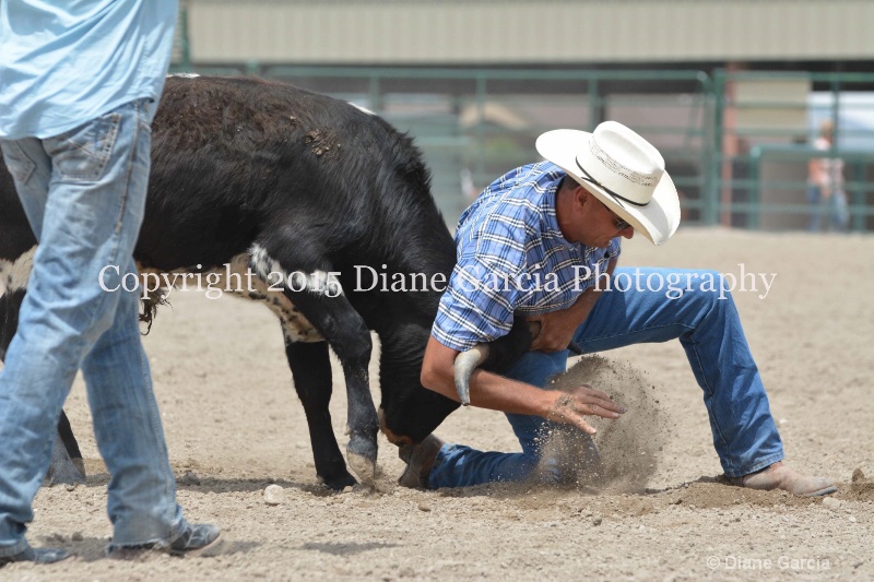 ujra parent rodeo 2015  12  - ID: 14942911 © Diane Garcia