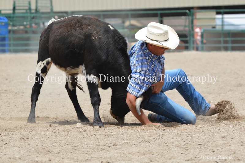 ujra parent rodeo 2015  11  - ID: 14942912 © Diane Garcia