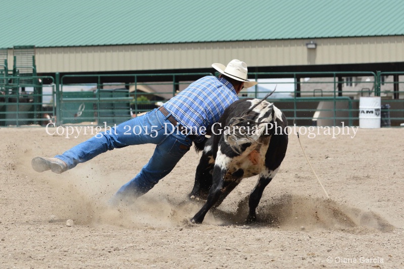 ujra parent rodeo 2015  9  - ID: 14942914 © Diane Garcia