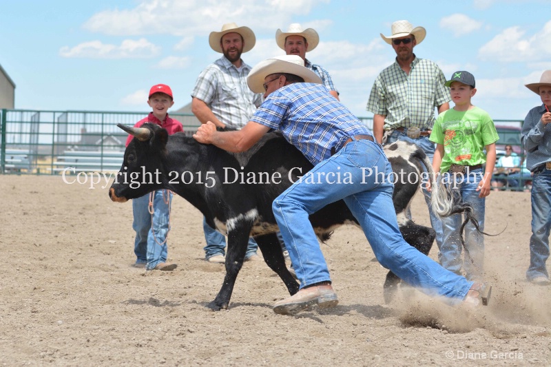 ujra parent rodeo 2015  7  - ID: 14942916 © Diane Garcia