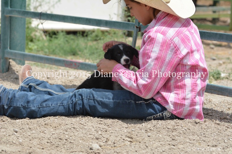 ujra parent rodeo 2015  4  - ID: 14942919 © Diane Garcia