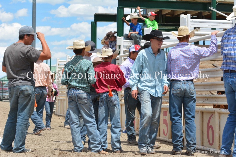 ujra parent rodeo 2015  2  - ID: 14942921 © Diane Garcia