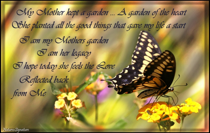 ~ My Mothers Garden ~