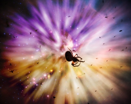 ----------"Cosmic Spider"----------