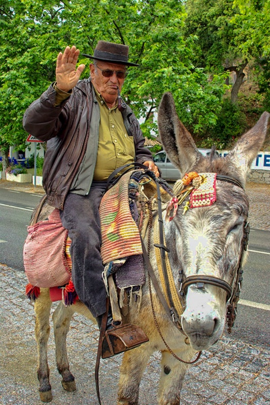 A Farmer in Portugal