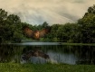 Owl  Over  Water