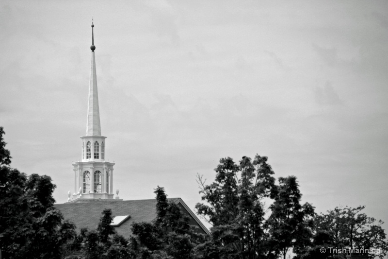 Newburyport Steeple Top...