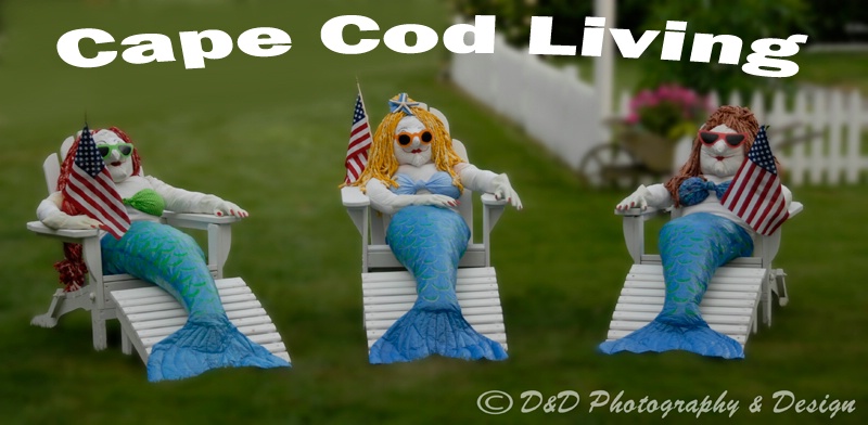 Cape Cod Living