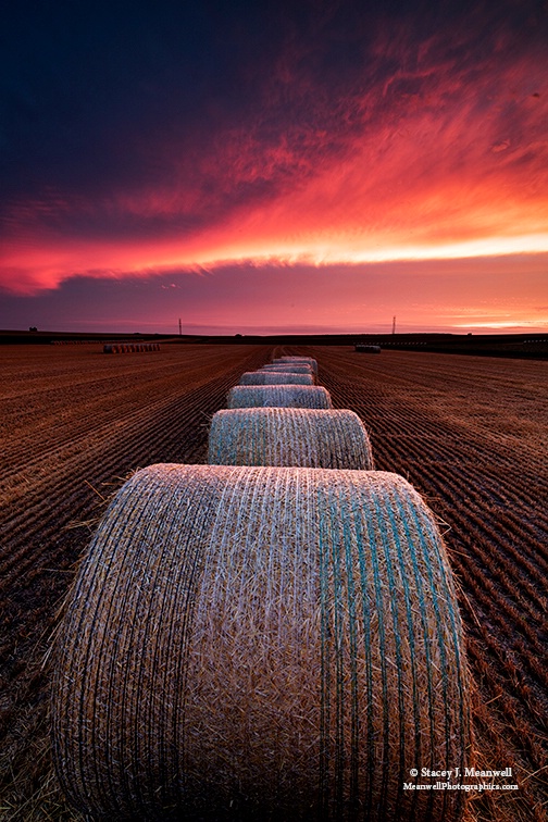 Wheat Bale Sunset - ID: 14950625 © Stacey J. Meanwell