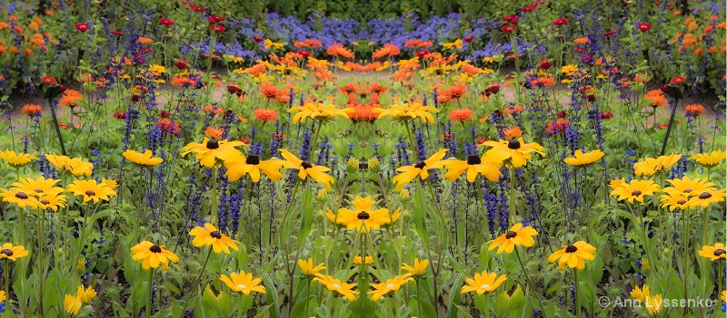 A Mirror in a Meadow