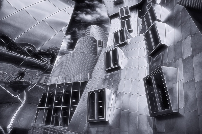 The B&W world of Frank Gehry