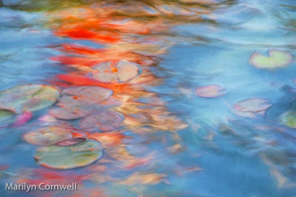 Fire on the Water - ID: 14953426 © Marilyn Cornwell