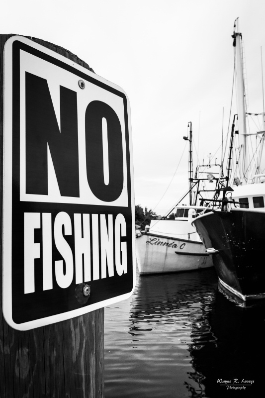 No Fishing ????