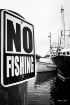 No Fishing ????