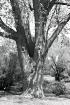 Can you see me?.....