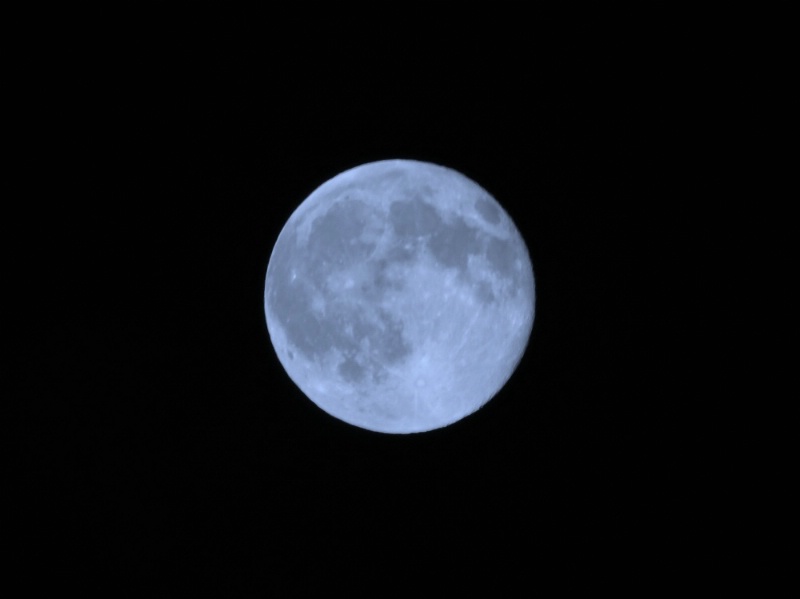 Blue Moon