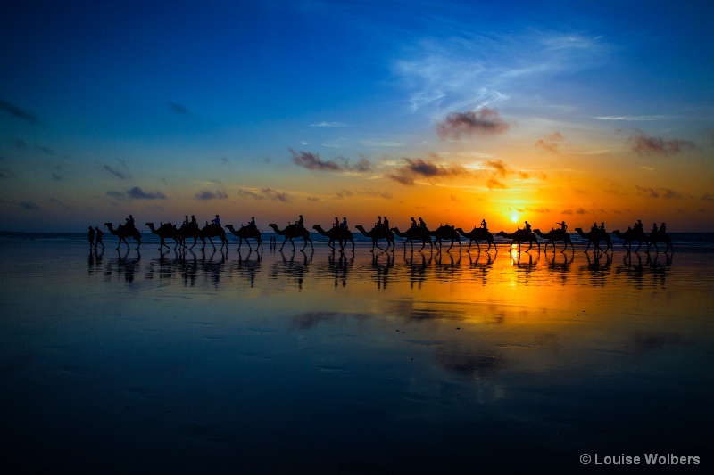 Sunset Camel Ride