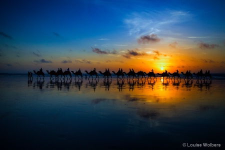 Sunset Camel Ride