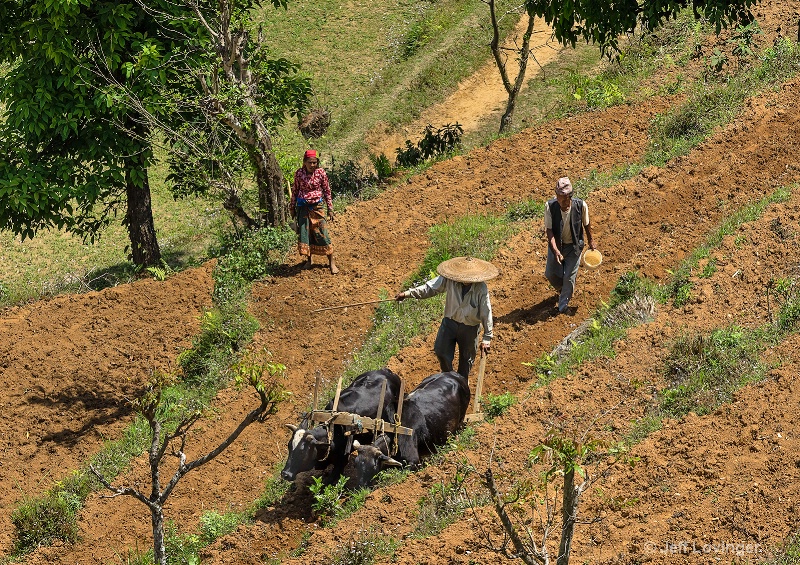 Tilling the Field, Begnas, Nepal   #811,