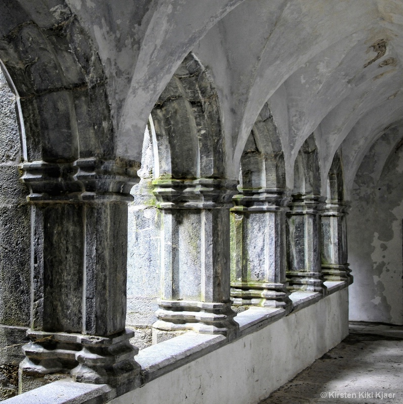 Cloister Of Muckross Friary