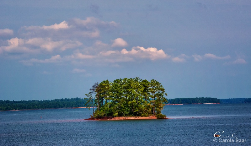 Island in Lake Thrumond Modoc SC