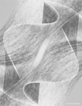 Calla Abstract