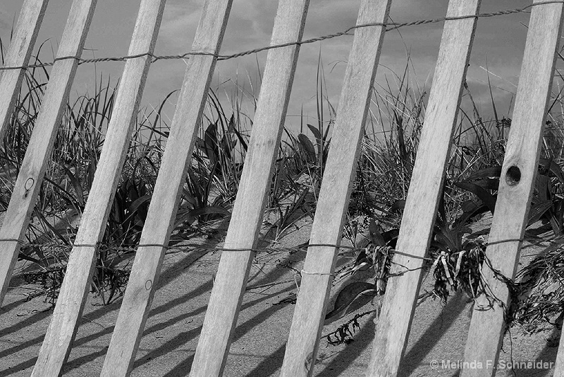 Beach Fence