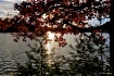 Evening light...