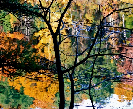 Fall Abstract -  Walden Pond