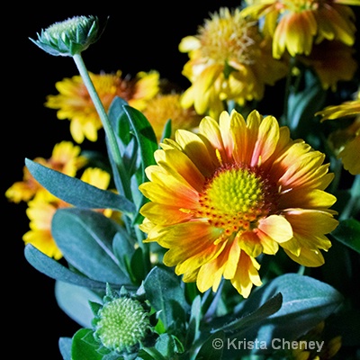Flowers by lamplight - ID: 14964237 © Krista Cheney