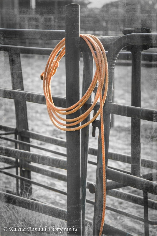 A Cowboy's Tool - "The Rope"