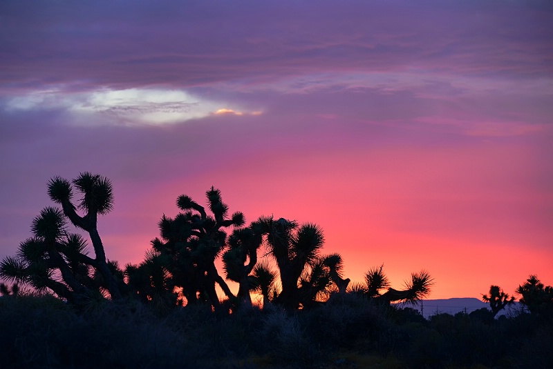 Sunset Over The Mohave Desert
