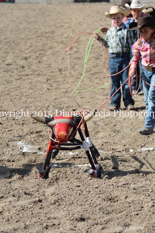 first under ujra15 16 - ID: 14964678 © Diane Garcia