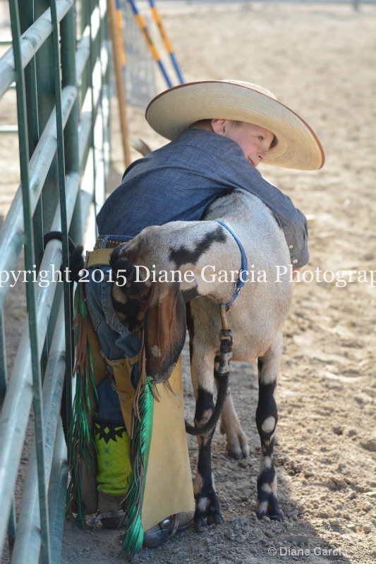 first under ujra15 13 - ID: 14964681 © Diane Garcia