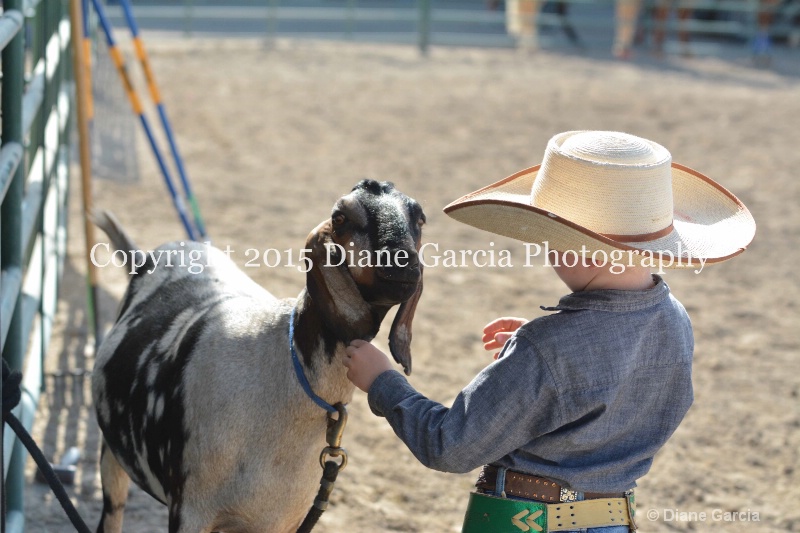 first under ujra15 11 - ID: 14964683 © Diane Garcia