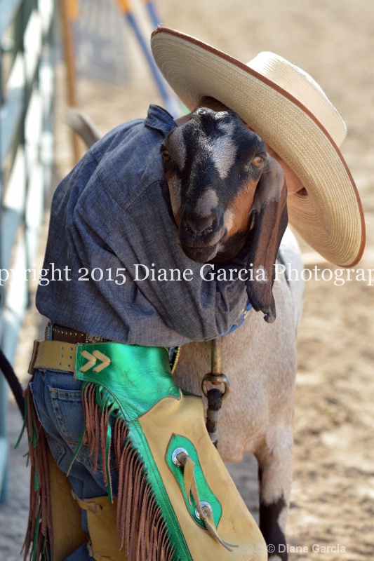 first under ujra15 1 - ID: 14964694 © Diane Garcia