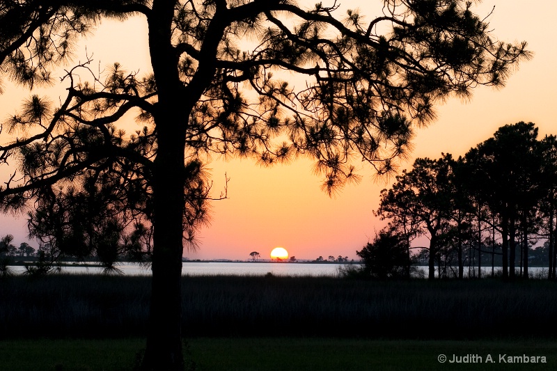Florida Sunset (reworked) - ID: 14965278 © Judith A. Kambara