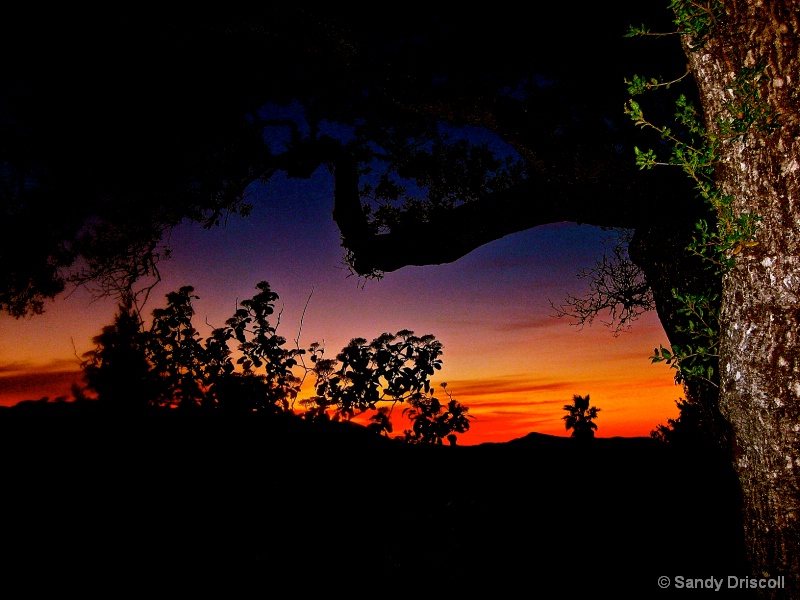 Sonoma Sunset