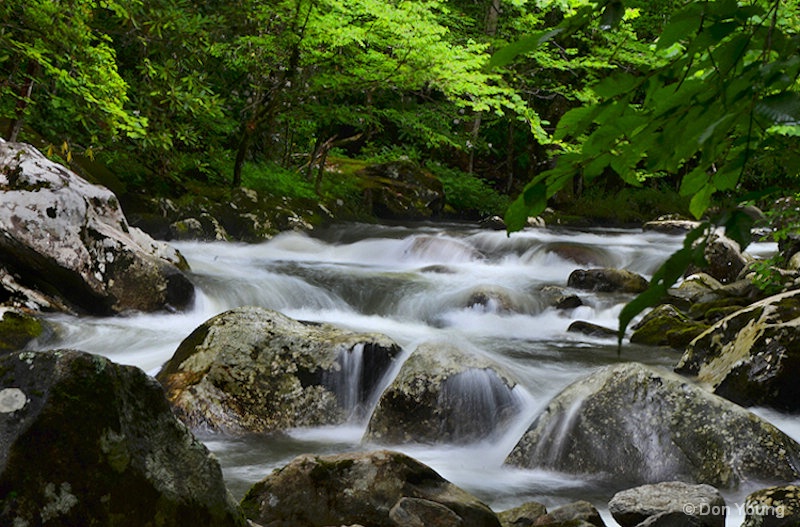 Tremont Stream