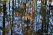 Fall Reflection _...