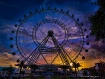 Eye in the Sky