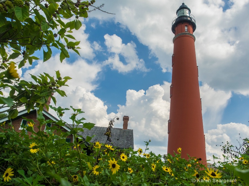 Ponce Inlet Lighthouse Flowers