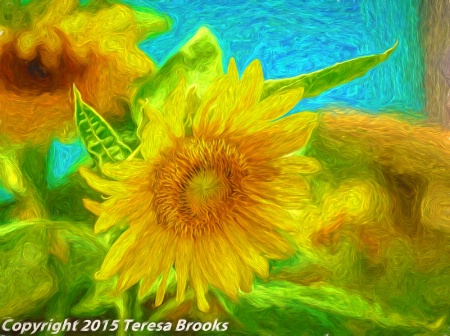 brook's sunflower