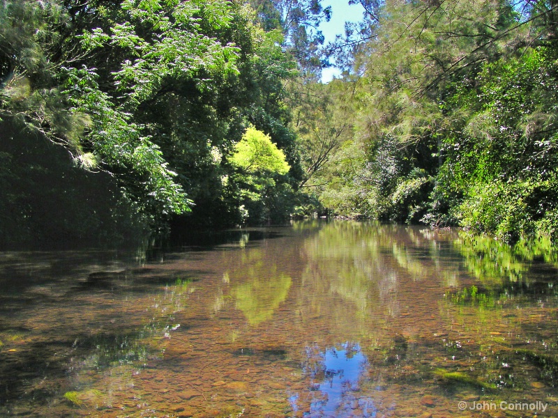 A Manning Valley Stream.