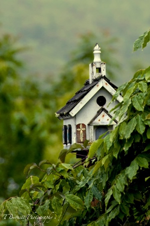 The Little Church in the Vale