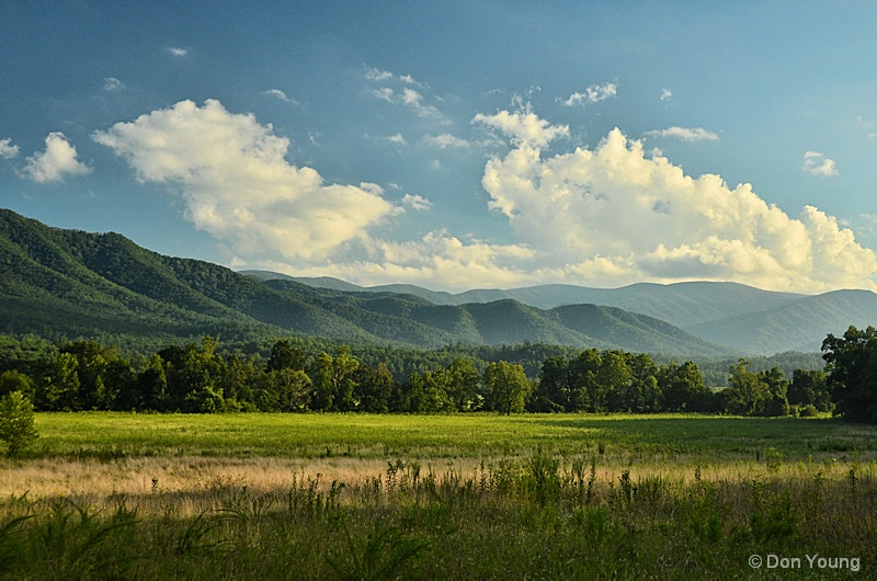 Evening at Cades Cove