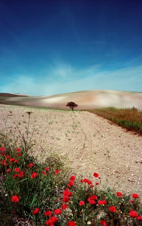 Spain in May