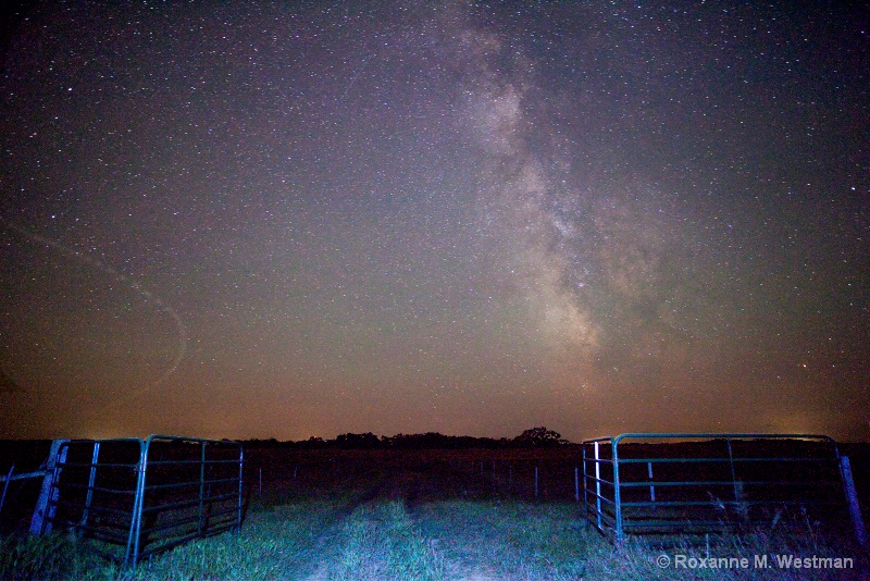 Through the gate