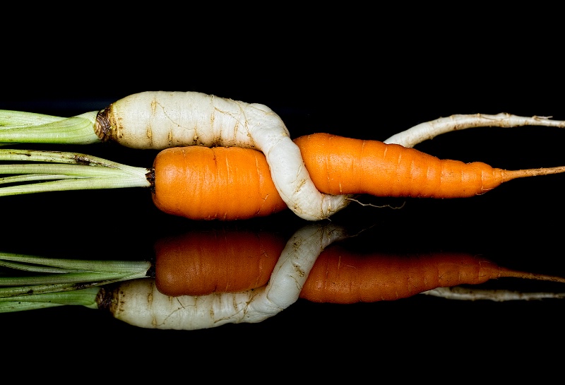 Cuddling Carrots